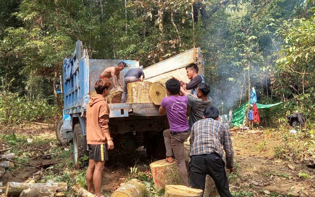 Firewood gathering for Rehab Center