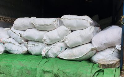 Logistic from Yangon, Myitkyina to Putao