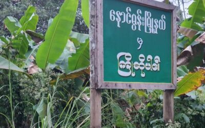 HOPE team visits Nogmung Township