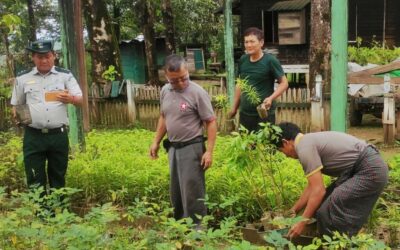 Planting a tree is planting hope