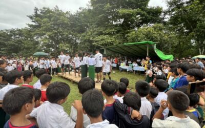 DUP activity