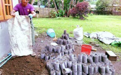 Seedlings for Greener Putao!
