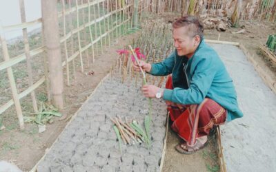 Plant Seedlings for Green Management in Putao